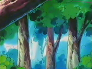 Cyndaquil esquiva el ataque y cae un árbol.