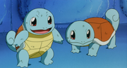 P01 Squirtle y clon.png
