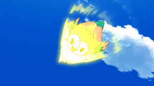 Rowlet de Ash usando picotazo.