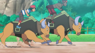 Imagen de Tauros