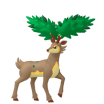 Sawsbuck verano