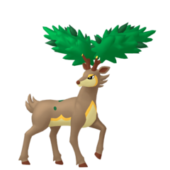 Sawsbuck verano