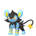 Luxio HOME hembra.png