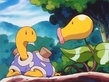 Shuckle