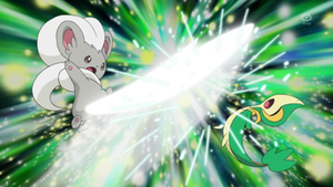 Cinccino de Moira usando Golpe de Cola/Plumerazo.