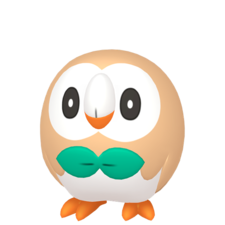 Rowlet macho