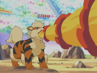 Arcanine usando giro fuego.