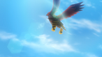 Talonflame