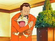 Meowth por fin es el Pokémon favorito de Giovanni.