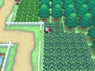 El protagonista entrando en la hierba alta. En ella se podrán encontrar varios Pokémon salvajes al igual que en las generaciones anteriores.