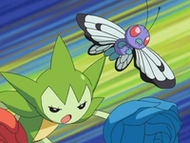 Roselia y Butterfree tras salir de sus Poké Balls.