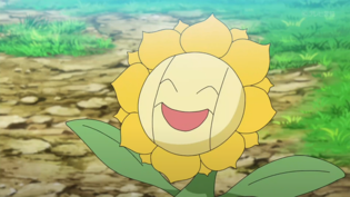 Imagen de Sunflora