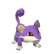 Rattata