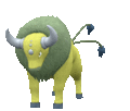 Imagen de Tauros en Pokémon Escarlata y Pokémon Púrpura