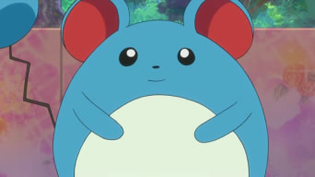 Lulu (Sinnoh) - WikiDex, la enciclopedia Pokémon