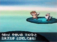 Ilustración del nuevo Pokémon, Patrat (junto a Pidove).