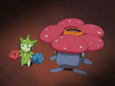 Vileplume