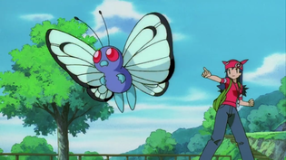 Imagen de Butterfree