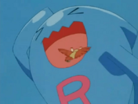 Noctowl usando picotazo.