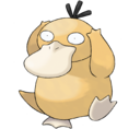 Psyduck