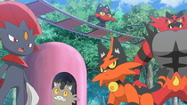 Imagen de varios Pokémon