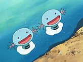 Wooper