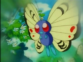 Butterfree