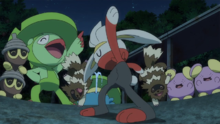 Raboot y sus amigos Pokémon.