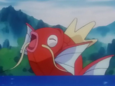 Magikarp
