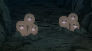 EP1300 Dugtrio.png