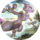 Icono Mewtwo TCGP.png