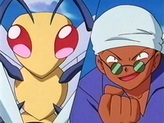 Beedrill