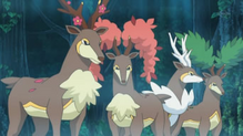 Sawsbuck