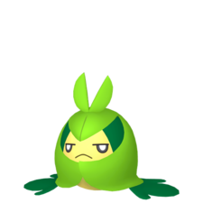 Swadloon macho
