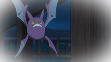 Crobat