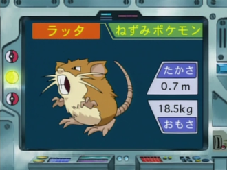 Imagen de la Lección Pokémon EP113