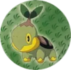 Turtwig ficha (Laberinto).png