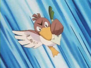 EP049 Farfetch'd (6).png