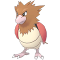Spearow normal