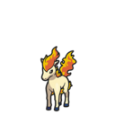 Icono de Ponyta en Pokémon Diamante Brillante y Perla Reluciente