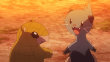 Dewott y Sandshrew juntos.