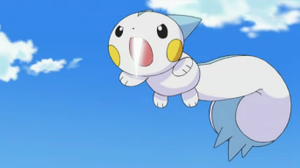 Pachirisu de Dawn/Maya usando Supercolmillo/Superdiente.