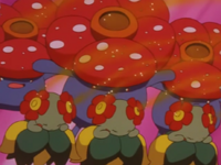 Bellossom usando paralizador.