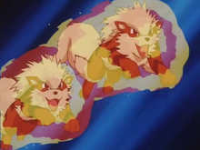 Arcanine usando rueda fuego.