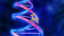 Stantler