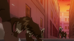 Mightyena