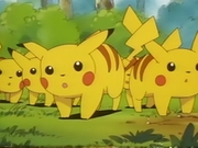 EP039 Pikachu salvajes.png