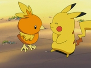 EP277 Torchic y Pikachu.png