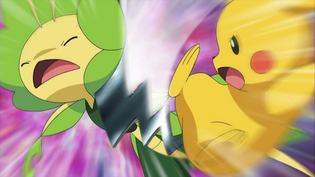 Leavanny vs. Pikachu