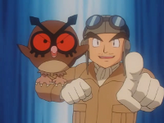 Hoothoot